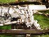 Rubicon Transfer Case